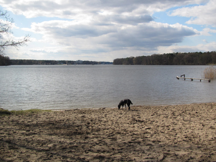 Ausflug mit Hund an den Langen See (Dahme) Urlaubstipps mit Hund