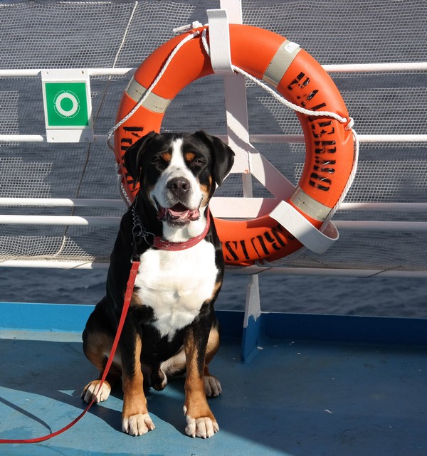 Langzeitreisen mit Hund durch Griechenland Urlaubstipps mit Hund