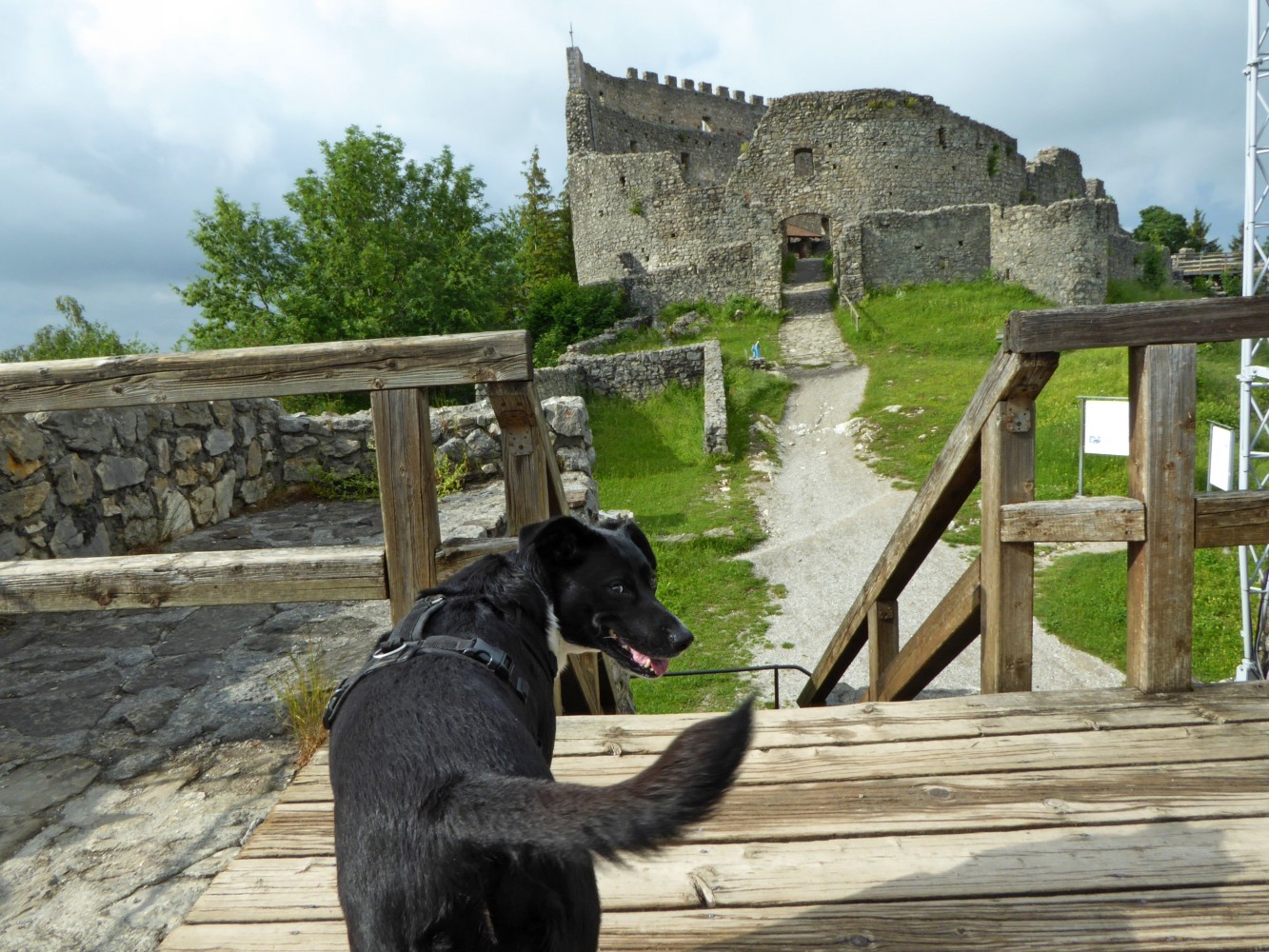 Tolle Ausflüge mit Hund zu drei mittelalterlichen Burgen im Ostallgäu